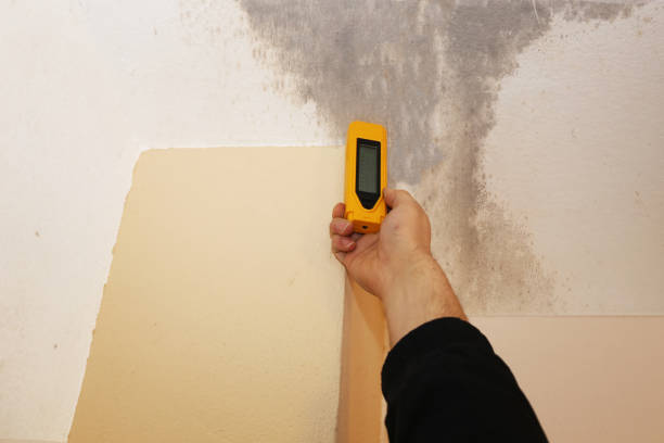 Best Post-Remediation Verification Testing  in Savannah, GA
