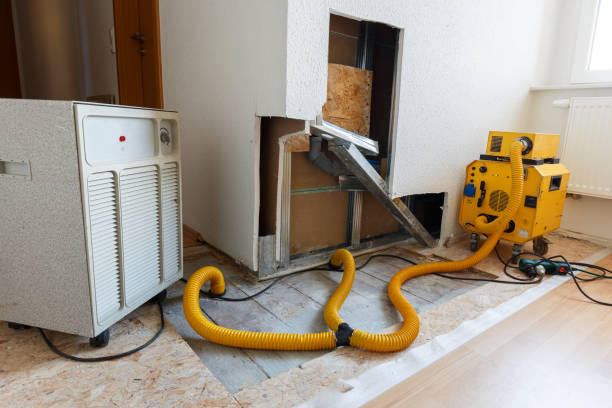 Best Mold Removal for HVAC Installations  in Savannah, GA