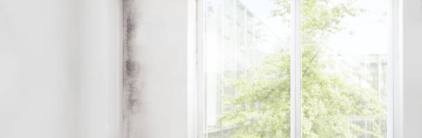 Best Real Estate Mold Inspection  in Savannah, GA
